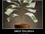 DREVO ŽIVLJENJA