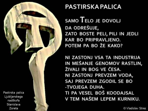 PASTIRSKA PALICA IN SIMBOL T (Frančiškanski)