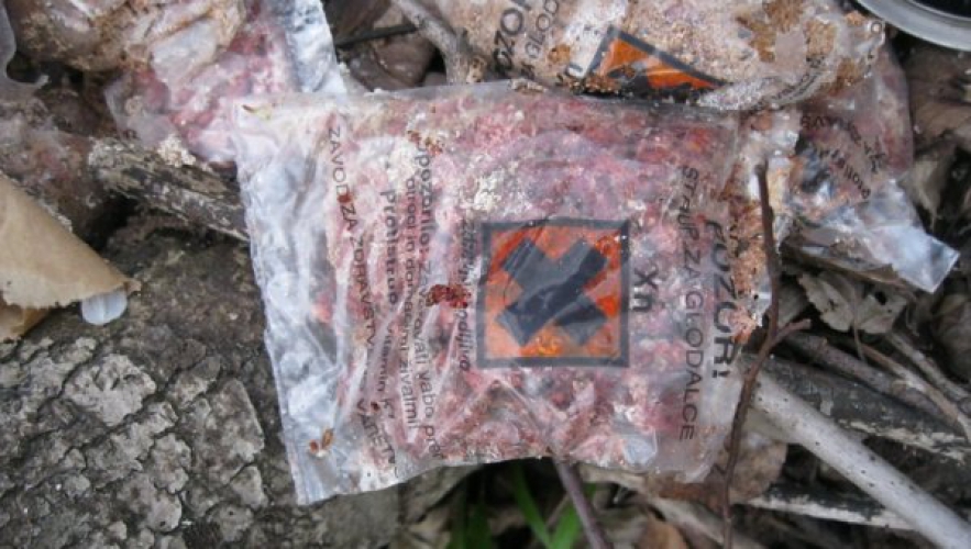 Ekološka patrulja je v začetku aprila na območju med Koroško Belo in Potoki odkrila med drugim večjo količino vreč s strupom za glodavce.