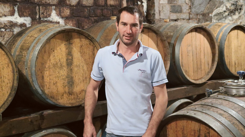 Tadej Štoka vse več vin zori v 120 barikih. Prihodnje leto namerava kandidirati na razpisu za mladega gospodarja za povečanje vinske kleti.