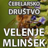 Čebelarsko društvo Velenje - Mlinšek