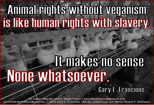 
				Pravice živali brez veganstva, so kot človekove pravice s suženjstvom. Brez pomena. 			