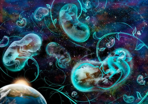 zemlja, semena, rast