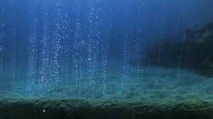 
				Izhajajoči mehurčki metana iz talečega se podmorskega permafrosta so dobro vidni zaradi dovolj svetlobe in površine morja brez ledu...			