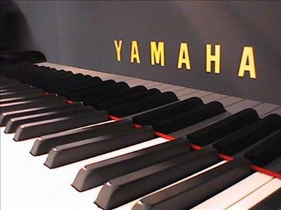 Elektricni klavir digitalni klavir 2