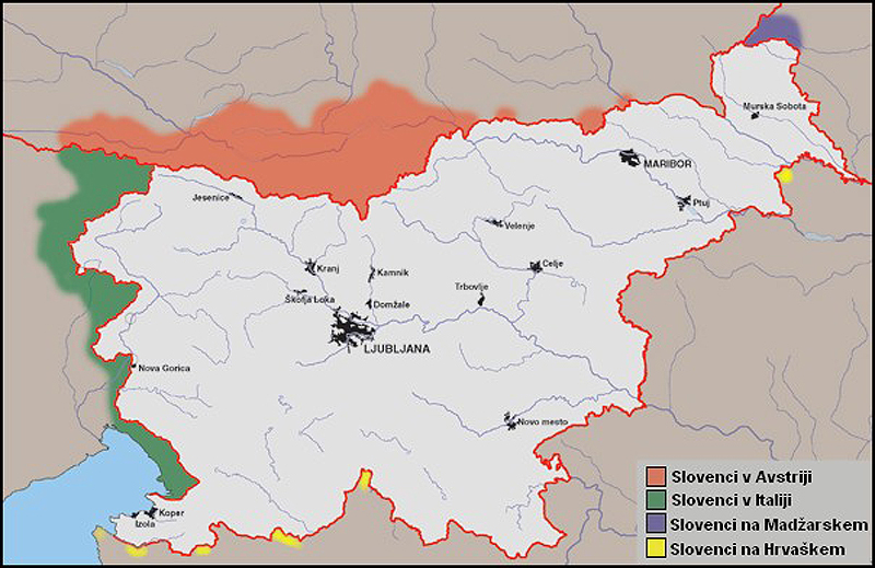 Slovenci v zamejstvu in slovenska narodna skupnost