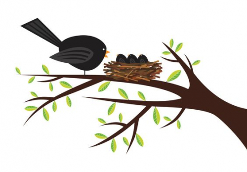 Blackbird and chicks in bird's nest cartoon illustration