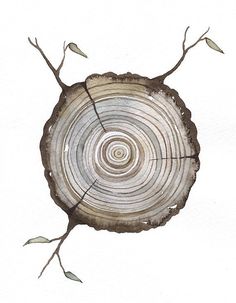 Print Fine Art Illustration - Log tree rings - (5 x 7) Original Watercolor Painting by Lorisworld - Limited edition via Etsy