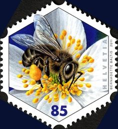 Switzerland 2011 Stamp: European Honey Bee (Apis mellifera) (Switzerland) Mi:CH 2186,Yt:CH 2113,Sg:CH 1877,WAD:CH001.11,Zum:CH 1383