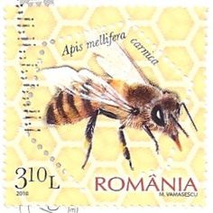 Romania - Stamp 2010 Bee Apis mellifera carnica 310 L