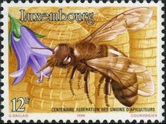 Bees - Honey Bee Stamps, Beekeeping, Apiculture - Stamp Community Forum - Page 10