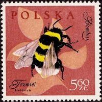 Bee and Beehive Stamp Collection