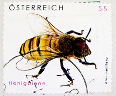 stamp Austria Honigbiene 55c bee Biene abeilles apis mellifera postage timbre Autriche selo sello francobollo Austria postzegel Oostenrijk แสตมป์ ออสเตรีย frimerker østerrike perangko Austria razítka Rakousko 우표 오스트리아 pulları Avusturya בולים אוסטריה marka | Flickr - Photo Sharing!