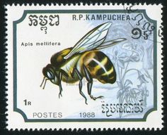 CAMBODIA CIRCA 1988: stamp printed by Cambodia, shows Bee, circa 1988 Stock Photo
