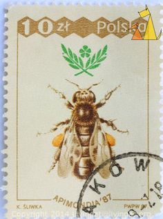 Western Honeybee, Polska, Poland, stamp, insect, bee, K Sliwka, PWPW, 87, Apimondia'87, 10 Zl, Apis mellifera