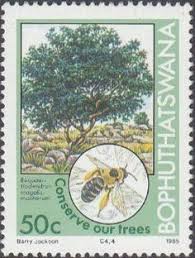 13 Best Vietnam Postage Stamps images | Postage stamps, Vietnam ...