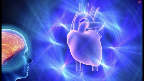 Why heart coherence it's important to health & well-being. - YouTube