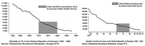 Graph - TB Mortality and Cases, Germany