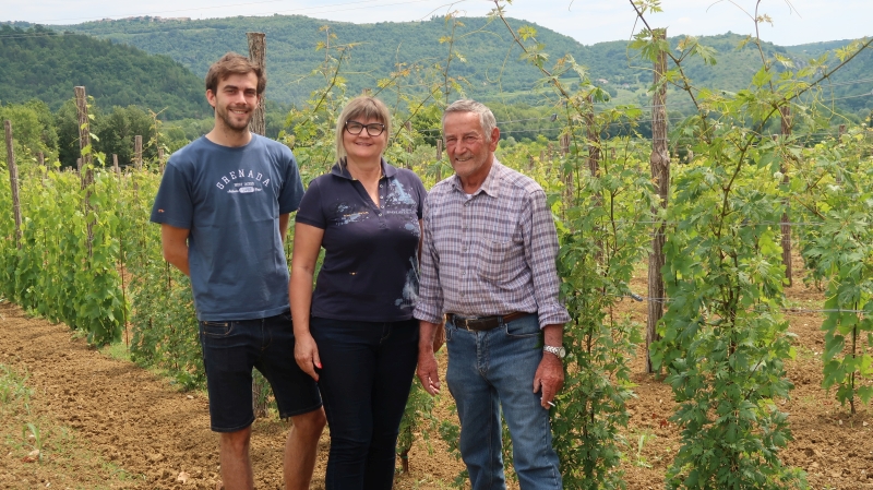 
				Nik, Ingrid in Gvido Mahnič v viteškem vinogradu, v katerem je tast Gvido posadil številne avtohotne in tradicionalne  sorte, te so: peteršiljka, malfašija, (bela), malega, momjanski muškat, kanarjola, cipro, sladki teran, piranski refošk, in tintorja, skupaj 1200 trt.  			