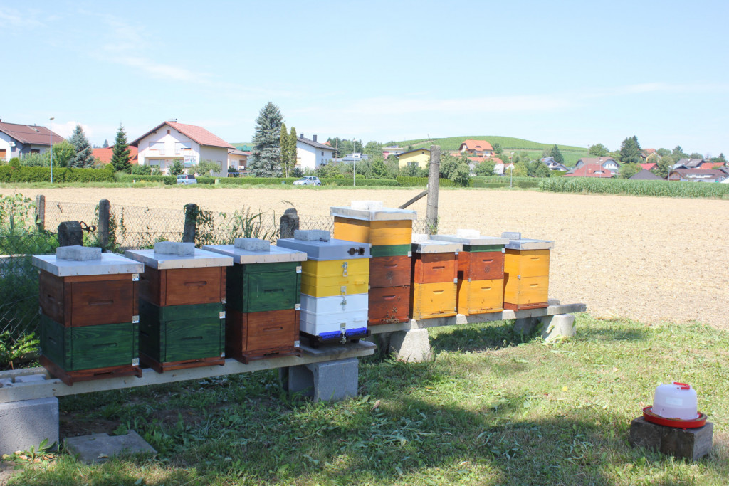 Nakladni panji s čebeljimi družinami