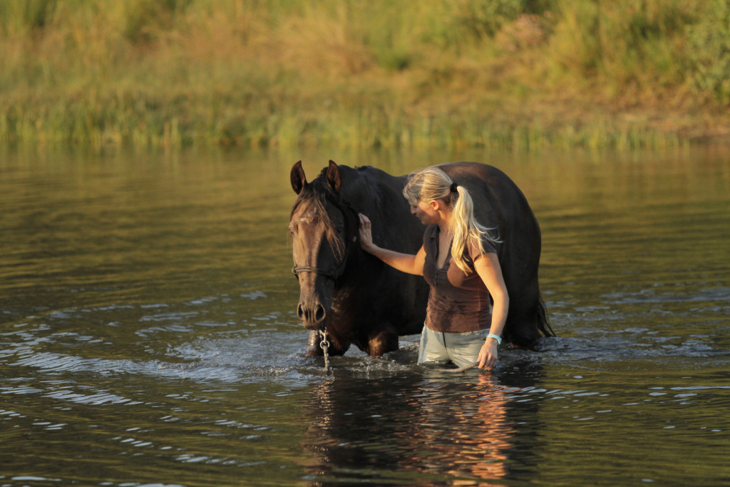 
				V Sloveniji imamo to srečo, da se nahajamo na območju nekaterih najlep&scaron;ih divjih rek Evrope. (Foto: arhiv Alje Kisilak)			