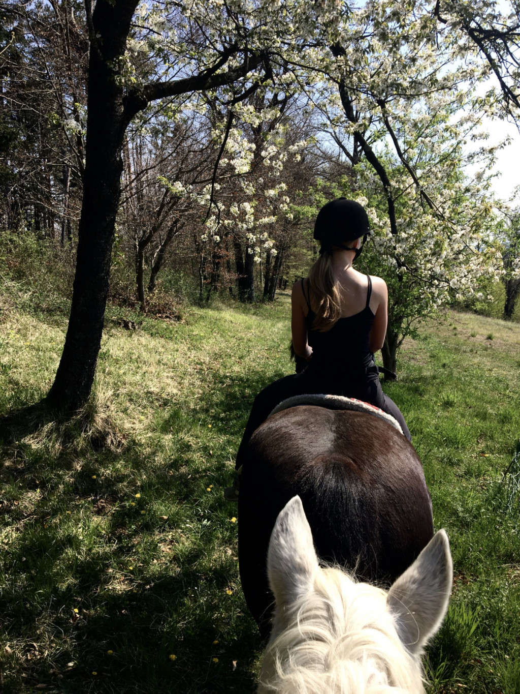 
				- Ni lepšega kot opazovati naravo s konjevega hrbta. (Foto: Katja Porenta)			