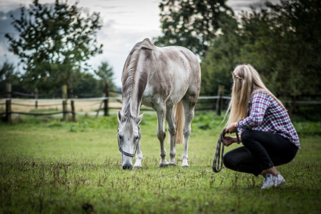 
				Se naš konj pusti ujeti na pašniku in osedlati brez podkupnin in neželenega vedenja?			