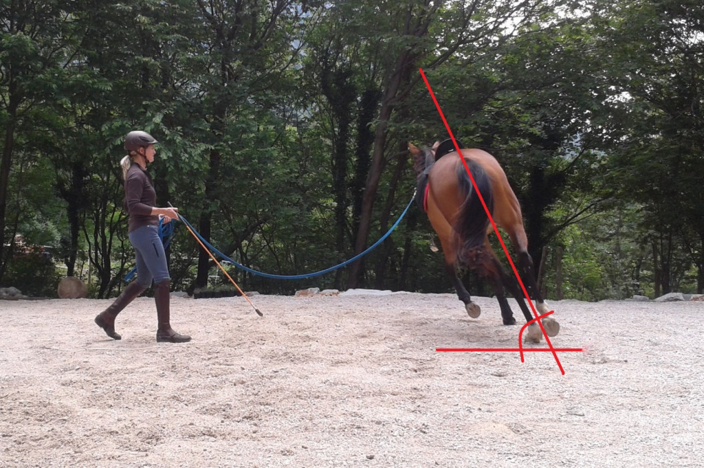 
				Manj kot je konj uravnotežen in slabše kot se previja na krožnici, manjši je namišljeni kot, ki ga tvori glede na tla. (Foto: www.cavallista.com)			