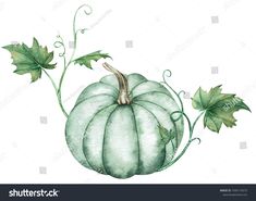 Watercolor illustration of blue pumpkin with green leaves isolated on white background. A symbol of autumn holidays. Beautiful botanical art. #Ad , #SPONSORED, #green#leaves#isolated#pumpkin