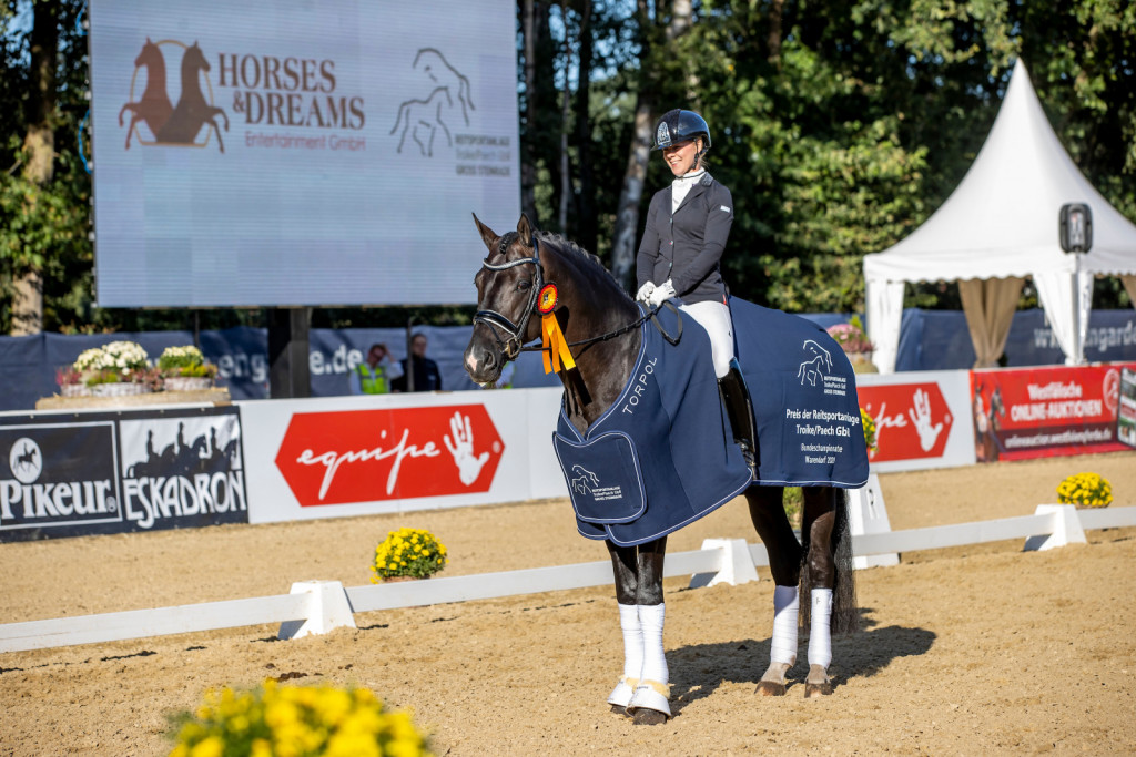 
				Žrebec Secret (Sezuan/St. Moritz), zmagovalec med 6-letnimi dresurnimi konji.			