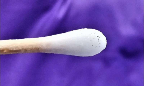 A theragripper is about the size of a speck of dust. This swab contains dozens of the tiny devices. Credit: Johns Hopkins University. Johns Hopkins Researchers engineer tiny machines that deliver medicine efficiently