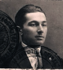 Živojin Pavlović (komunista) - Wikipedia