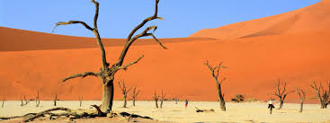 Kjer puščava sreča ocean – Namib Naukluft NP – Potepanja