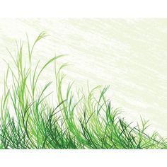simple grass illustration art by ~cgvector on deviantART