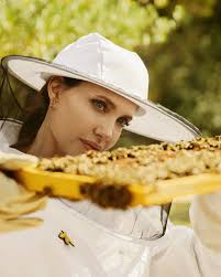 Angelina Jolie and Guerlain Want to Save the Bees—And Empower Female  Beekeepers | Vogue