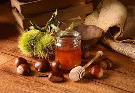348 Chestnuts Honey Photos - Free & Royalty-Free Stock Photos from  Dreamstime