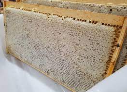 Extracting Honey From Beehive Frames | Alaska Urban Hippie
