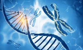 Skrivnosti epigenetike: lahko nadzorujemo gene?