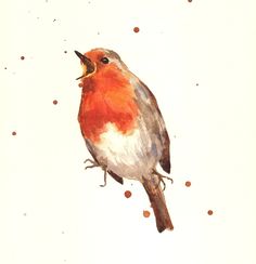 BIRD Art Prints - ROBIN. $18.00, via Etsy.