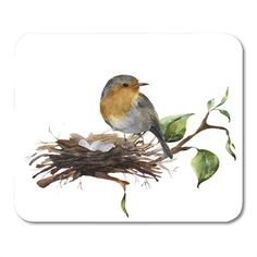 This contains an image of: Watercolor Robin Sitting on Nest with Eggs Hand Painted Illustration Mousepad Mouse Pad Mouse Mat 9x10 inch