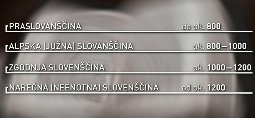 
				foto: TV Slovenija			