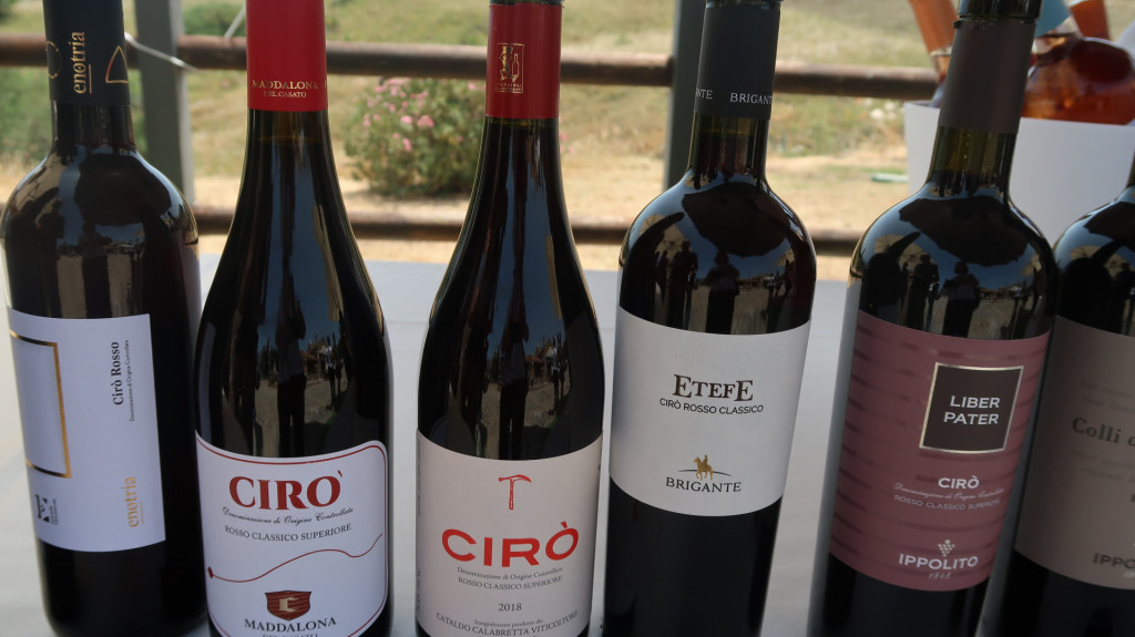
				vina območja Ciro 			