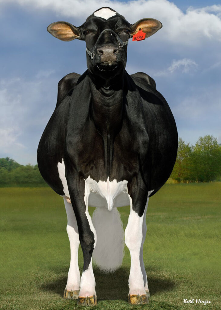 
				Doc, foto: Dairy Global			
